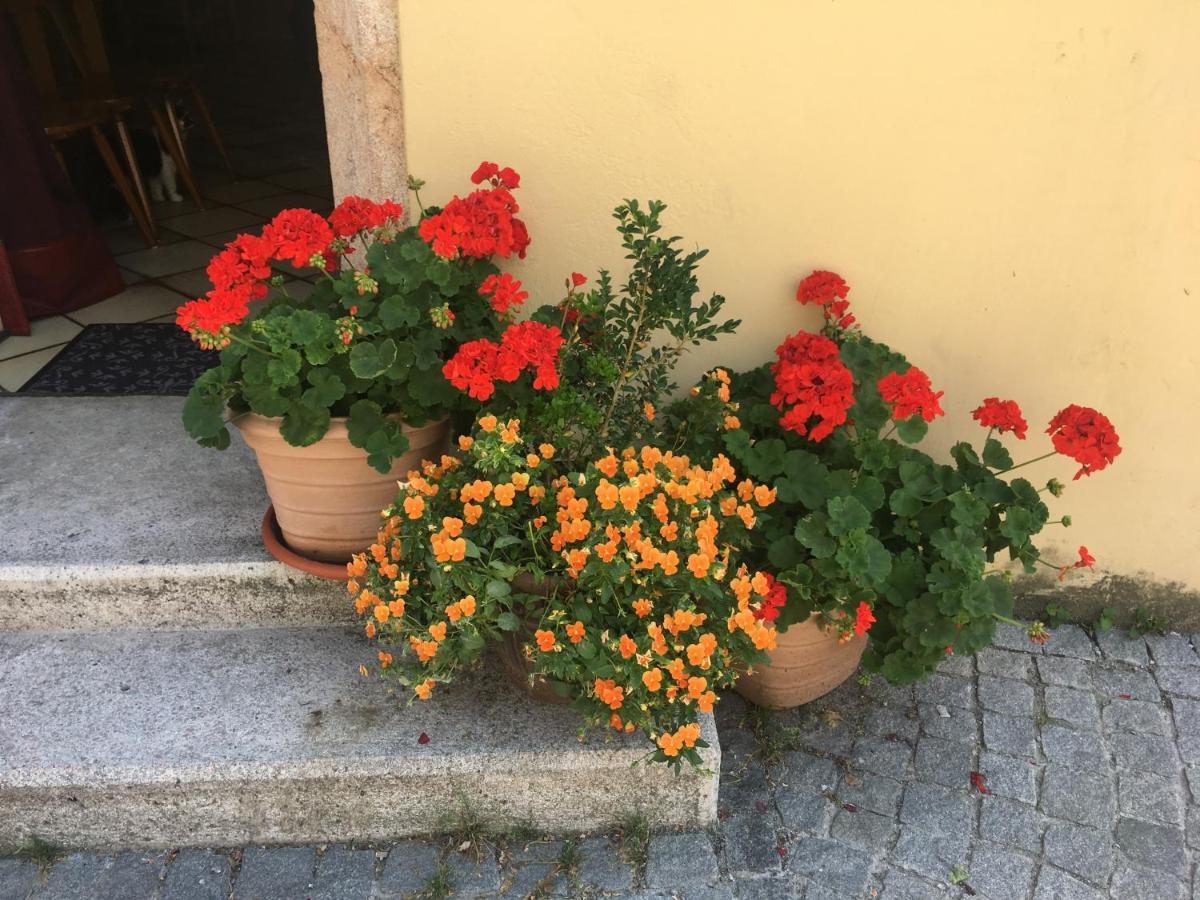 Haus Schlosskeller Rattenberg  Esterno foto